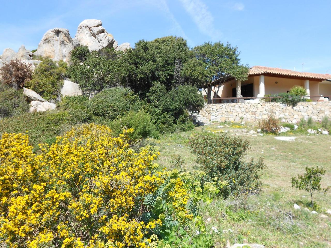 Villa Giuseppina Ed Il Mare - Baia Santa Reparata - Santa Teresa Gallura Exterior foto